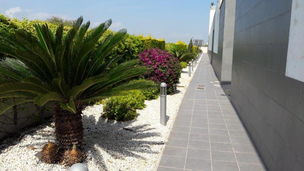 Oliva Nova - Golf&Beach Cabagua Zewnętrze zdjęcie